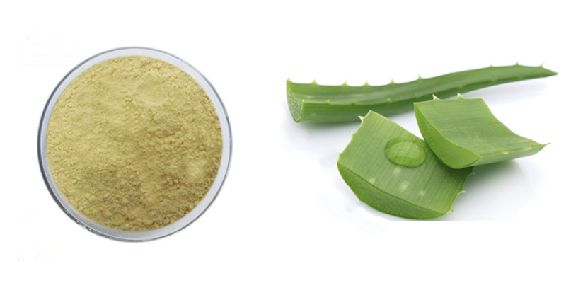 Aloe Vera Extract Powder Aloe Emodin Shaanxi Kingsci Biotechnology Co Ltd 4131