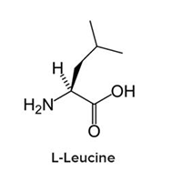 L-Leucine amino acids and derivatives