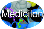 Shanghai Medicilon Inc.