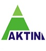 Aktin Chemicals, Inc.