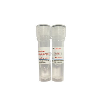 Recombinant enterokinase_Pharmasources.com