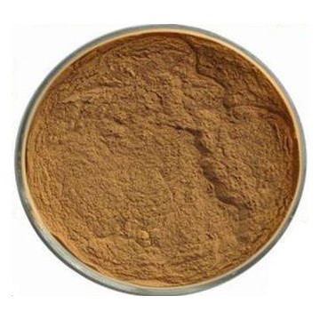 Vitex Agnus-Castus Extract Powder 5% | AG ORGANIC INC/JORYHERB LTD