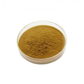 Antrodia cinnamomea | Pharmasources.com