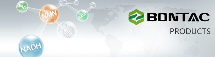 bontac-banner_1.jpg bontac-banner_1.jpg