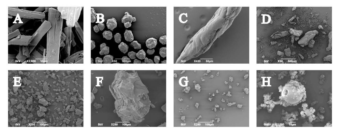 SEM images of A to D, raw ingredients: itraconazole (x2000), Soluplus (x50), HPMCP (x430), physical mix (x50) and E to H, ASDs: HME&BM <90µm fraction (x250), HME&BM 90 – 450 µm fraction (x250), SD (x250) and SD (x1000)